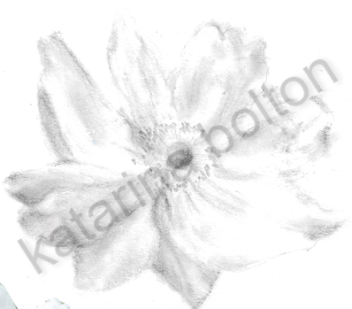 a really soft looking pencil drawing of a flower